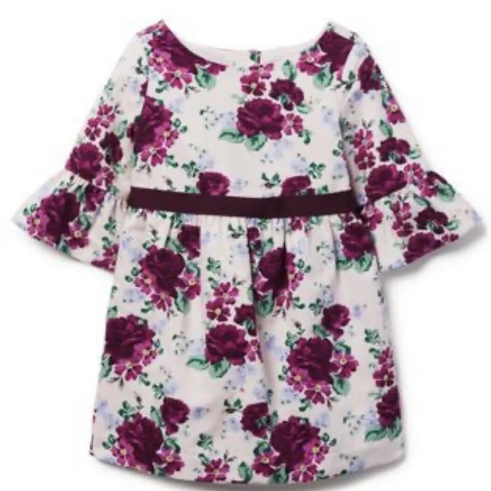 JANIE and JACK Feeling Fuchsia King Sleeves With Roses Dress Size 6